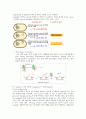 plasid mini prep 16페이지