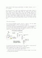 plasid mini prep 17페이지