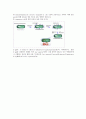 plasid mini prep 24페이지