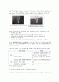 plasid mini prep 32페이지