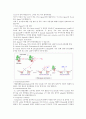 plasid mini prep 33페이지