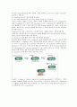 plasid mini prep 34페이지