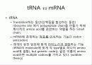 고대 생물정보학 2 써머리 18페이지