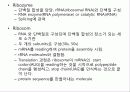 고대 생물정보학 2 써머리 19페이지