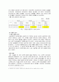 싸이월드 벤처기업 레포트 18페이지