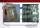 수질공학 실험 부유물질 (SS) , (VSS) 에 관한 발표 자료 PPT 3페이지