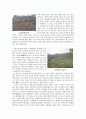 삼년산성(三年山城) 조사 보고서 2페이지
