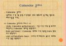 자바입문 13장:자바의 기본 패키지  49페이지