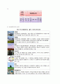 신재생에너지의 종류 및 현황과 미래 4페이지