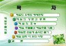 매실추출물을 이용한 기능성 식품 2페이지