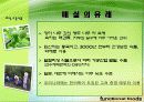 매실추출물을 이용한 기능성 식품 3페이지