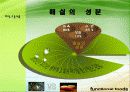 매실추출물을 이용한 기능성 식품 5페이지