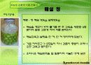 매실추출물을 이용한 기능성 식품 15페이지