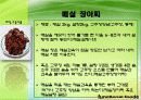 매실추출물을 이용한 기능성 식품 17페이지