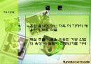 매실추출물을 이용한 기능성 식품 20페이지