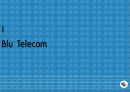 블루텔레콤의 CRM 전략 PPT 3페이지