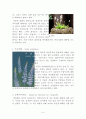 한라산의 자원식물 조사 5페이지