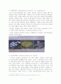 한라산의 자원식물 조사 10페이지