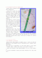 일반생물학및실험 - 지구상의 생물탄생설 리포트 -  7페이지