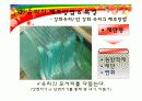 강화유리와 반강화유리 제조방법과 성능 8페이지