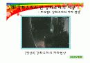 강화유리와 반강화유리 제조방법과 성능 21페이지