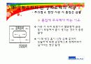 강화유리와 반강화유리 제조방법과 성능 26페이지