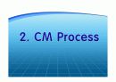 CM프로세스와 Case Study 12페이지