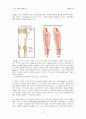 [상해및재활] 슬관절 무릎 관절에서의 남성과 여성의 부상에서 차이가 나는 이유 17페이지
