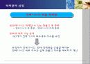 [무역][운송]컨테이너 운송에 대해서 23페이지