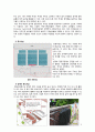 정동극장 계획서 6페이지