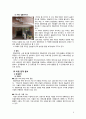 정동극장 계획서 8페이지