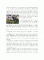 [그린디자인]그린디자인-최소주의 2페이지