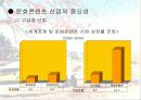문화 컨텐츠 산업에 대한 마케팅 전략 분석 5페이지