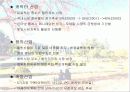 문화 컨텐츠 산업에 대한 마케팅 전략 분석 13페이지