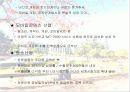 문화 컨텐츠 산업에 대한 마케팅 전략 분석 14페이지