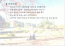 문화 컨텐츠 산업에 대한 마케팅 전략 분석 15페이지