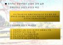 문화 컨텐츠 산업에 대한 마케팅 전략 분석 17페이지