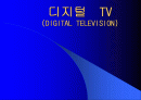 디지털 TV의 마케팅 경영 전략 분석 1페이지