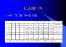 디지털 TV의 마케팅 경영 전략 분석 10페이지