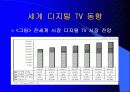 디지털 TV의 마케팅 경영 전략 분석 14페이지