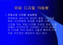 디지털 TV의 마케팅 경영 전략 분석 18페이지