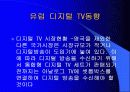 디지털 TV의 마케팅 경영 전략 분석 21페이지
