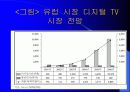 디지털 TV의 마케팅 경영 전략 분석 22페이지
