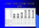 디지털 TV의 마케팅 경영 전략 분석 25페이지
