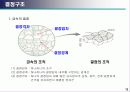 금속 조직학 13페이지