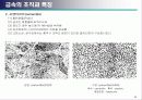 금속 조직학 20페이지