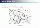 금속 조직학 21페이지