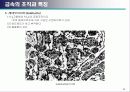 금속 조직학 23페이지