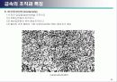 금속 조직학 24페이지