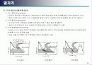 금속 조직학 52페이지
